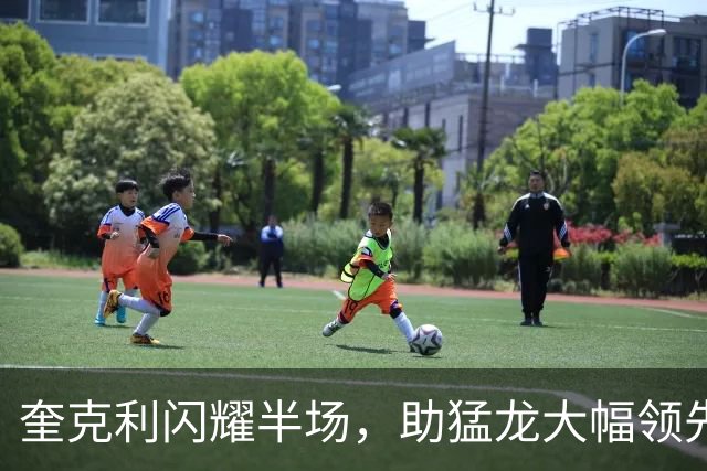 奎克利闪耀半场，助猛龙大幅领先公牛