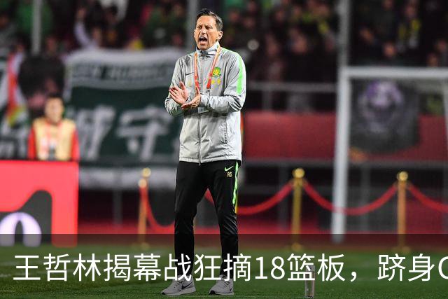 王哲林揭幕战狂摘18篮板，跻身CBA历史篮板榜第三位